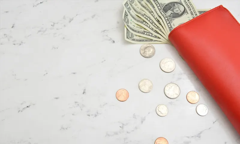 Wallet with cash and coins representing cost-effective shipping